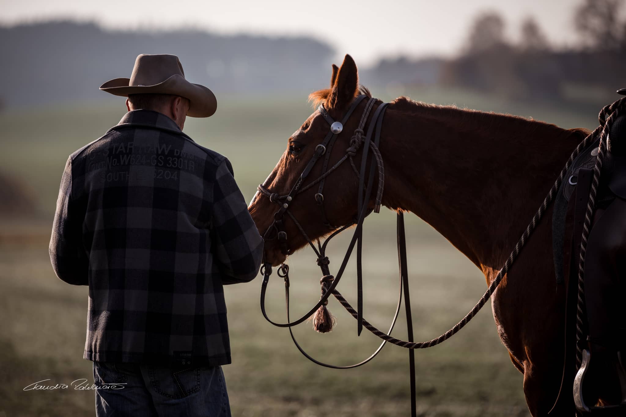 Bodenarbeit mit einem Pferd - Holger Heiß Holger Heiß im Cowboy-Stil bei der Bodenarbeit mit einem Pferd - Bavarian Horseman